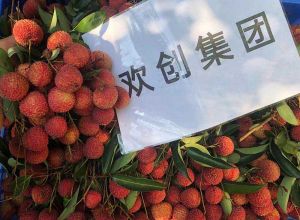 夏日好“枝”味，歡創(chuàng)集團(tuán)發(fā)福“荔”啦